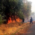 Πρόστιμο για πυρκαγιά σε υπολείμματα καλλιεργειών στη Βαμβακιά Σερρών