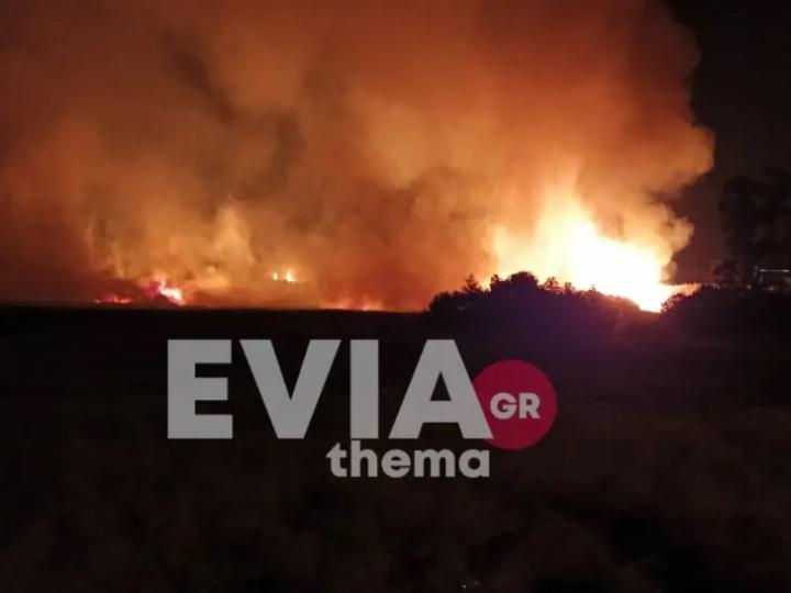 Πυρκαγιά σε έκταση με καλάμια στα Ψαχνά Εύβοιας (Φωτό)