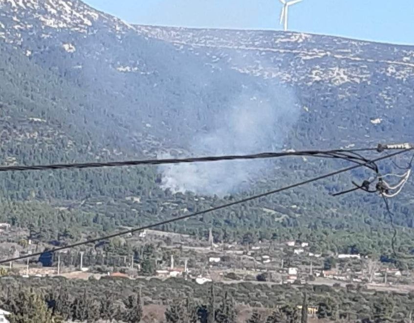 Πυρκαγιά σε δασική έκταση στην Οινόη Αττικής (Φωτό)