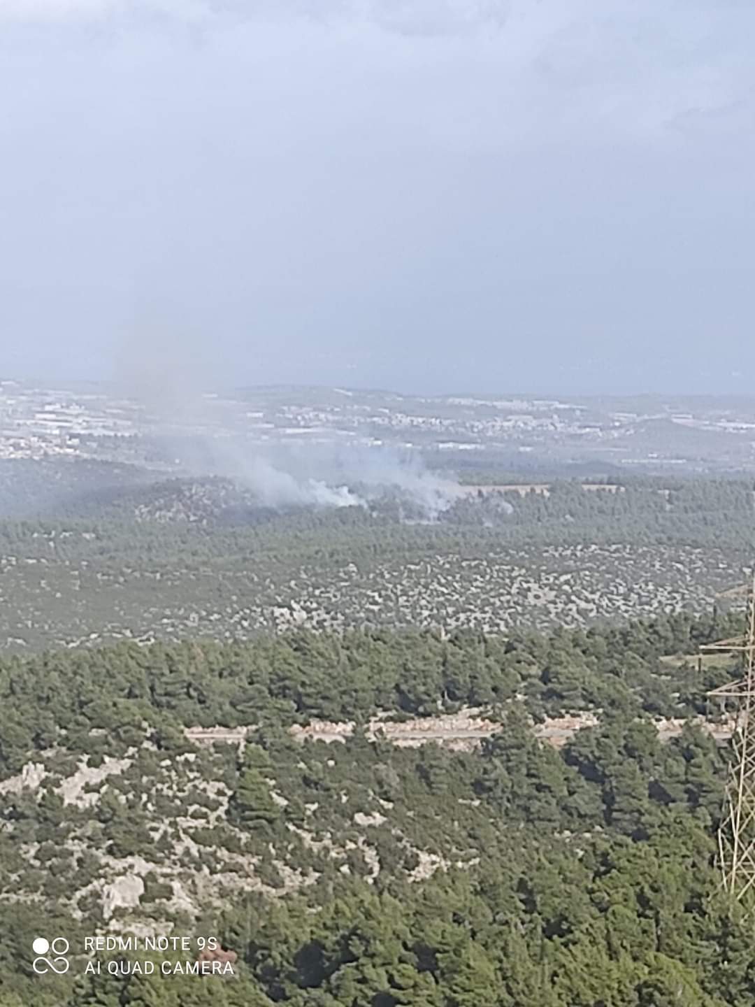 Πυρκαγιά σε δασική έκταση στην περιοχή Κλειδί Βοιωτίας