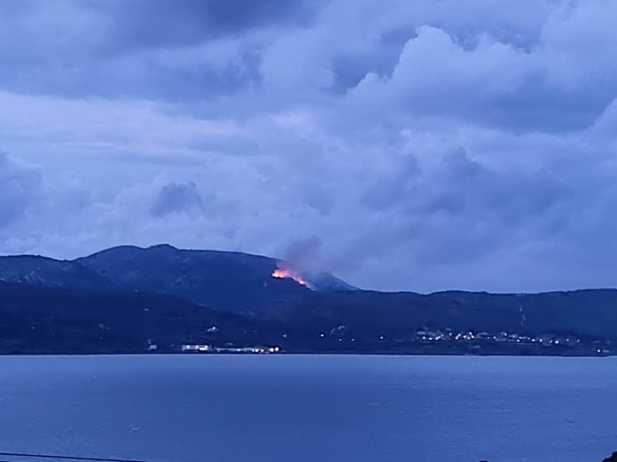 Πυρκαγιά σε δασική έκταση στο Ληξούρι Κεφαλονιάς