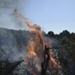 Πυρκαγιά σε δασική έκταση στα Βρουλίδια Χίου