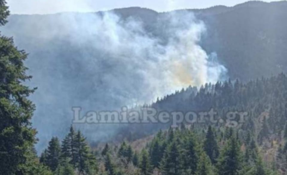 Πυρκαγιά σε δασική έκταση στον Τυμφρηστό Φθιώτιδας (Φωτό)
