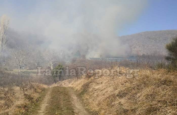 Σε εξέλιξη πυρκαγιά σε δασική έκταση στο Ροβολιάρι Φθιώτιδας