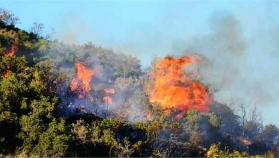 Σε εξέλιξη πυρκαγιά σε δασική έκταση στο Ροβολιάρι Φθιώτιδας
