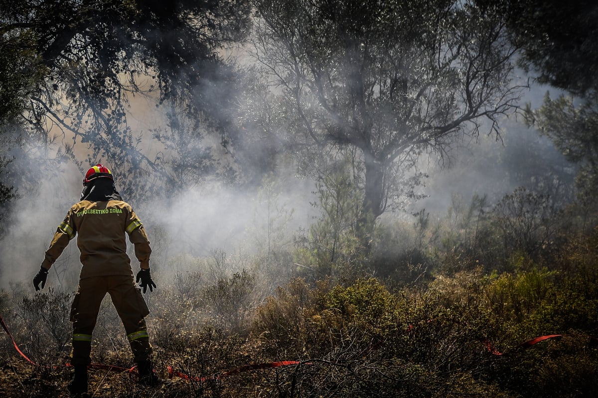 Σύλληψη για πυρκαγιά σε δασική έκταση στην περιοχή Στροπώνων Ευβοίας