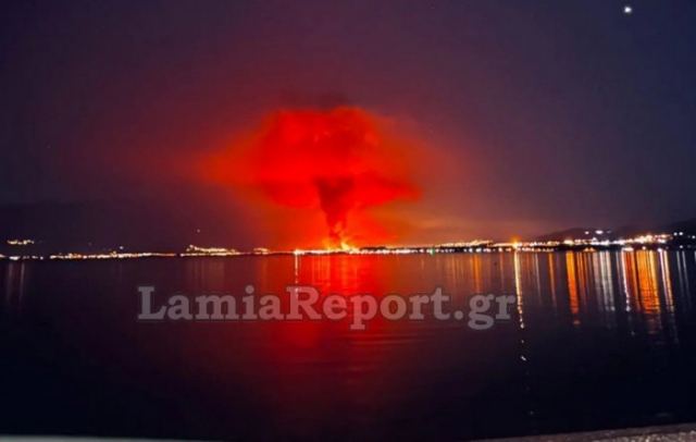 Πυρκαγιά σε καλαμιές και υπολείμματα καλλιεργειών στη Μαυρομαντήλα Φθιωτιδας