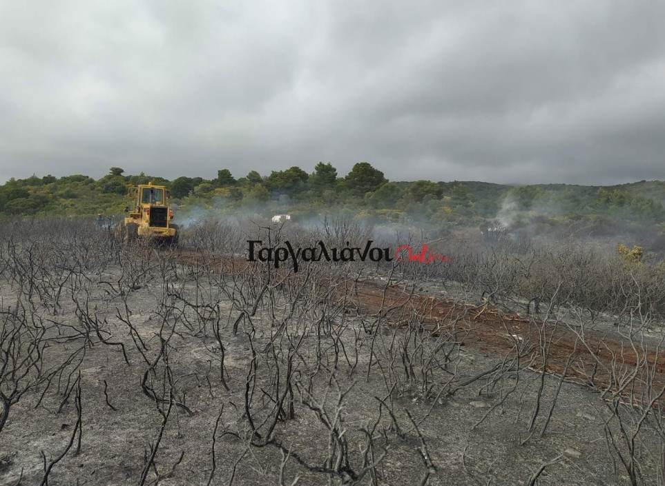 Πυρκαγιά σε αγροτοδασική έκταση στον Κάκκαβα Μεσσηνίας