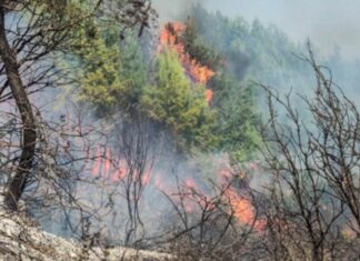 Fire Fighting Greece | Φωτιά Τώρα – Πυρκαγιές σε εξέλιξη