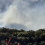 Πυρκαγιά σε δασική έκταση στο Βασιλάκι Λακωνίας