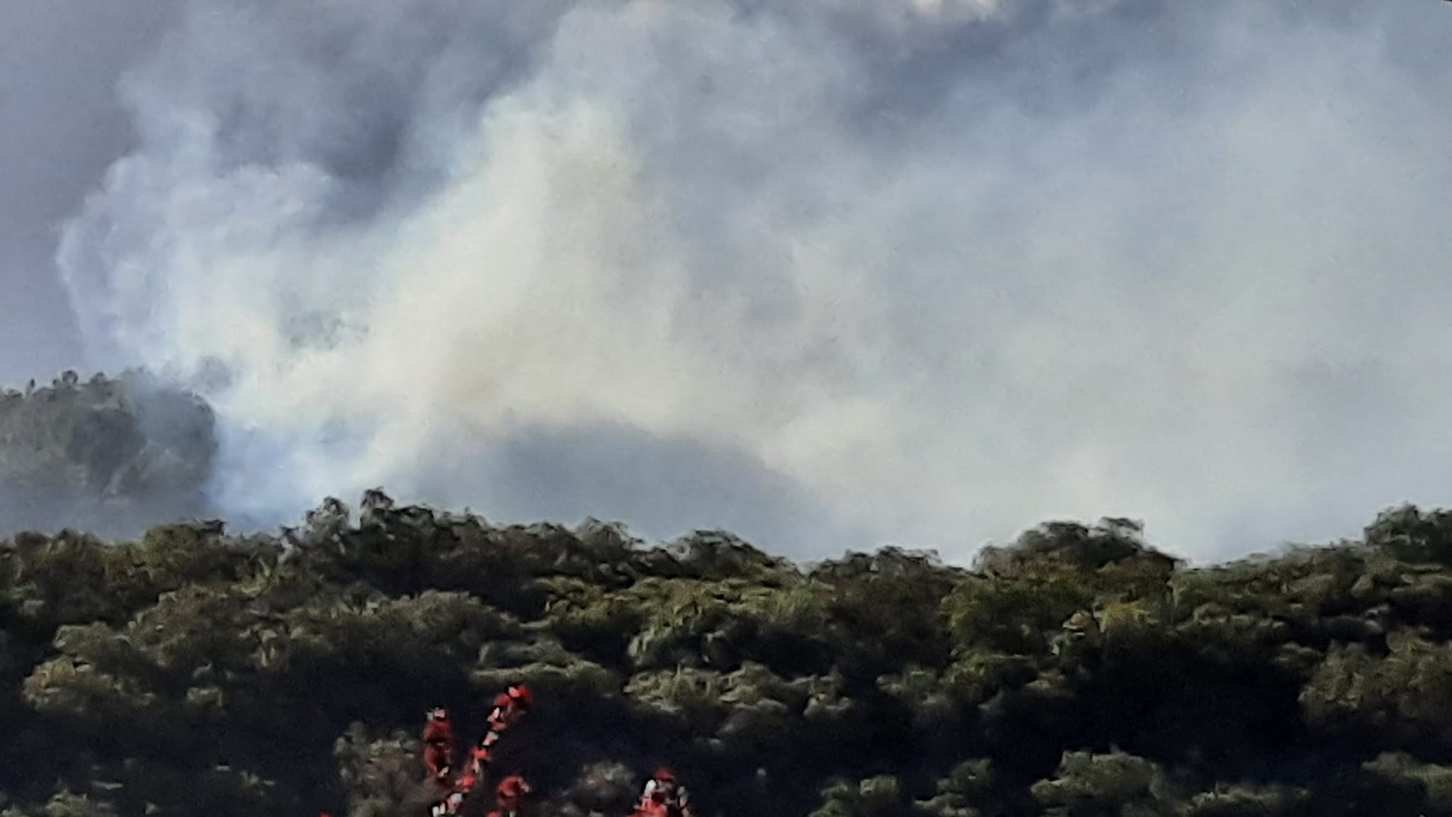 Πυρκαγιά σε δασική έκταση στο Βασιλάκι Λακωνίας