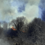 Σε εξέλιξη δασική πυρκαγιά στην περιοχή Μάρμαρα Αχαΐας