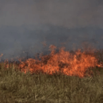 Πρόστιμο για πυρκαγιά σε ξηρά χόρτα εντός γεωργικής έκτασης στην Πέλλα