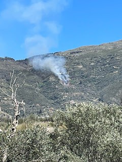Πυρκαγιά σε δασική έκταση στο Φαρακλό Λακωνίας