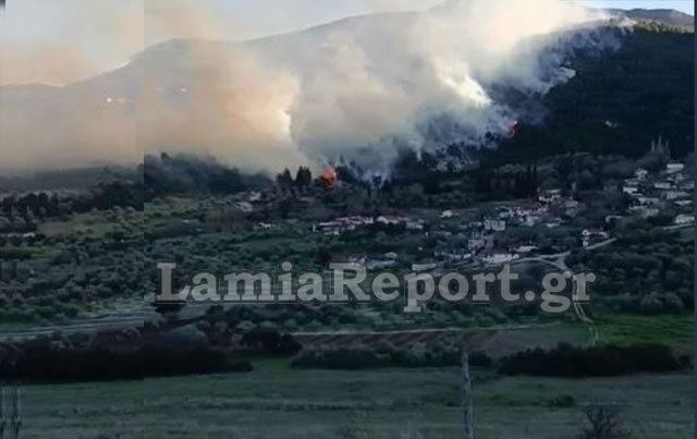 Πυρκαγιά σε δασική έκταση στην περιοχή Καραβίδια Φθιώτιδας