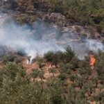 Σε εξέλιξη πυρκαγιά σε δασική έκταση στο Χρυσοβέργι Μεσολογγίου