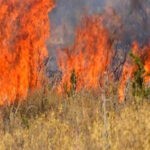 Πρόστιμο για πυρκαγιά σε ξηρά χόρτα στην περιοχή Ασπρόχωμα Βοιωτίας
