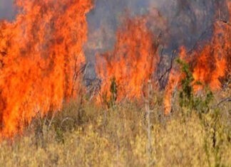 Fire Fighting Greece | Φωτιά Τώρα – Πυρκαγιές σε εξέλιξη