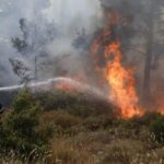 Πυρκαγιά σε δασική έκταση στη Δαφνιώτισσα Αμαλιάδας