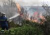 Fire Fighting Greece | Φωτιά Τώρα – Πυρκαγιές σε εξέλιξη