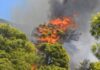 Fire Fighting Greece | Φωτιά Τώρα – Πυρκαγιές σε εξέλιξη
