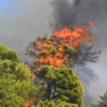 Σε εξέλιξη πυρκαγιά σε δασική έκταση στην περιοχή Στιμάγκα Κορινθίας
