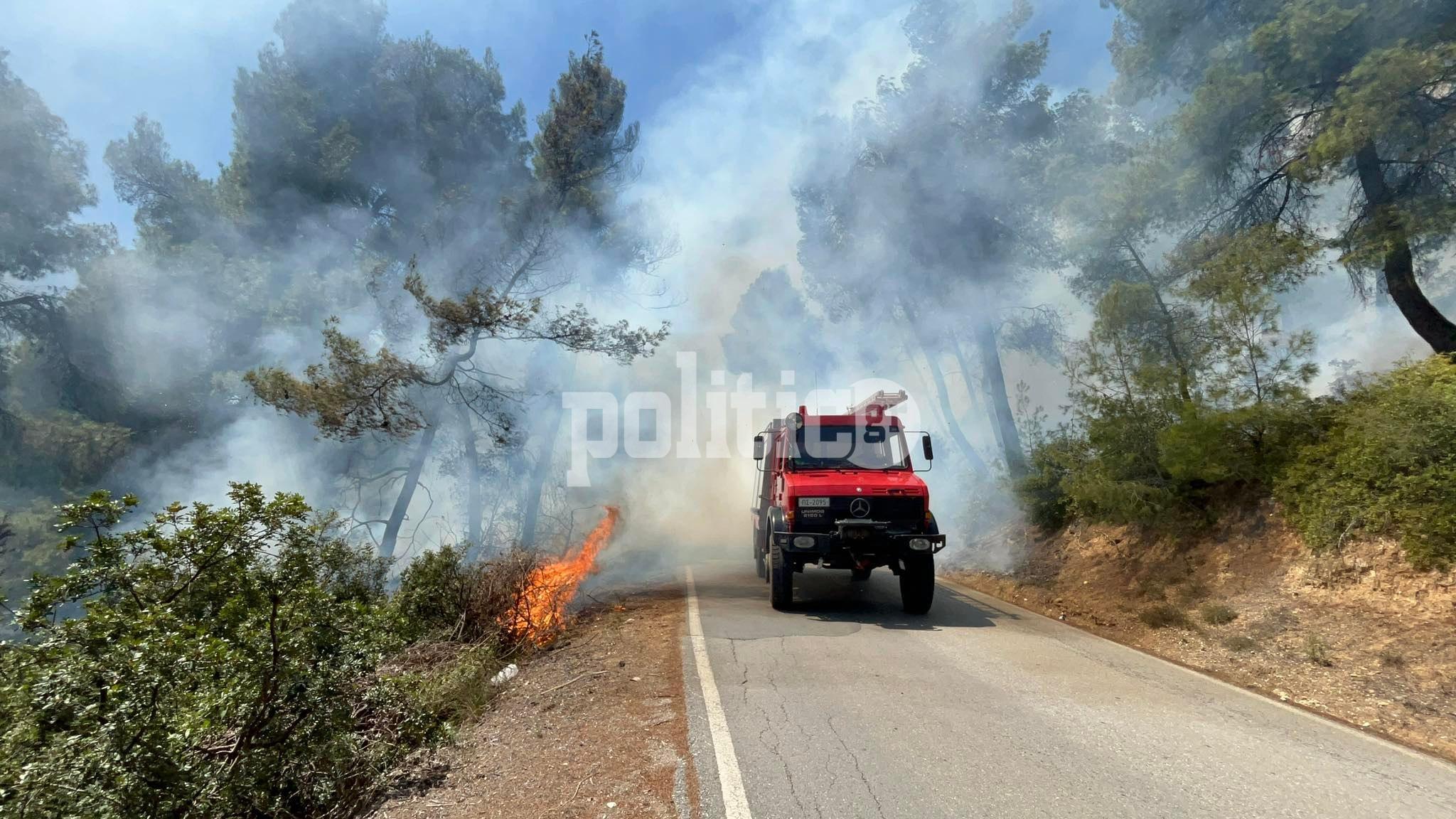 Πυρκαγιά σε δασική έκταση σε εξέλιξη στο Παλιούρι Χαλκιδικής