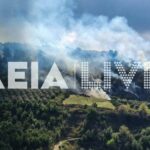 Πυρκαγιά σε αγροτοδασική έκταση στην Αγ. Άννα Ηλείας