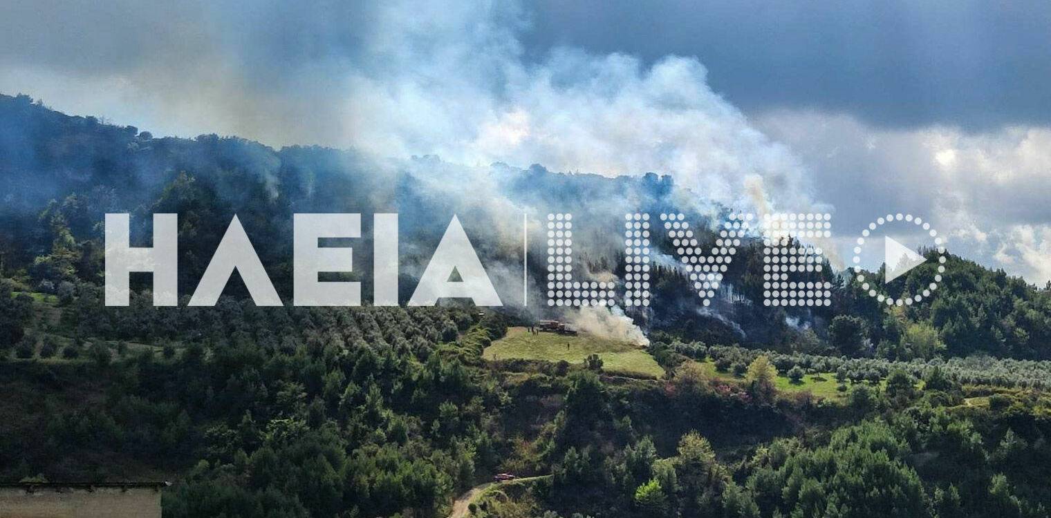 Πυρκαγιά σε αγροτοδασική έκταση στην Αγ. Άννα Ηλείας