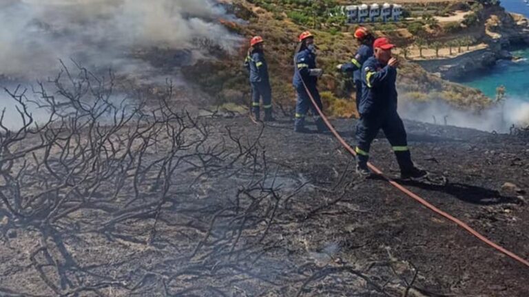 Πυρκαγιά σε χαμηλή βλάστηση στην Αγία Πελαγία Ηρακλείου Κρήτης