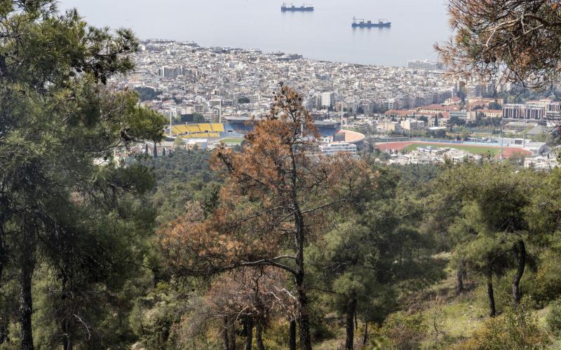 Θεσσαλονίκη: Εγκαθίσταται το πρώτο ραντάρ έγκαιρης προειδοποίησης για φωτιά στο Σέιχ Σου