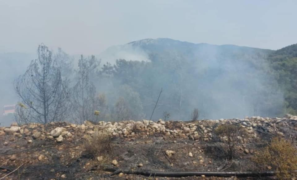 Πυρκαγιά σε δασική έκταση στο Μανδρικό Ρόδου