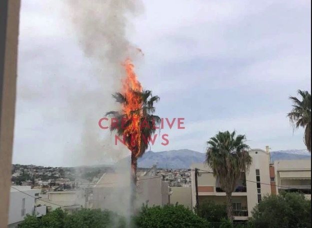 Πυρκαγιά σε φοίνικα μέσα σε σχολείο στο Ηράκλειο της Κρήτης