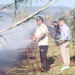 Πυρκαγιά σε καλαμιές στη περιοχή της Πούντας Πάρου