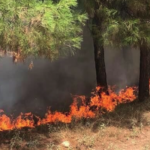 Πυρκαγιά σε δασική έκταση στην περιοχή Μαυροβούνι Αγίων Θεοδώρων Κορινθίας