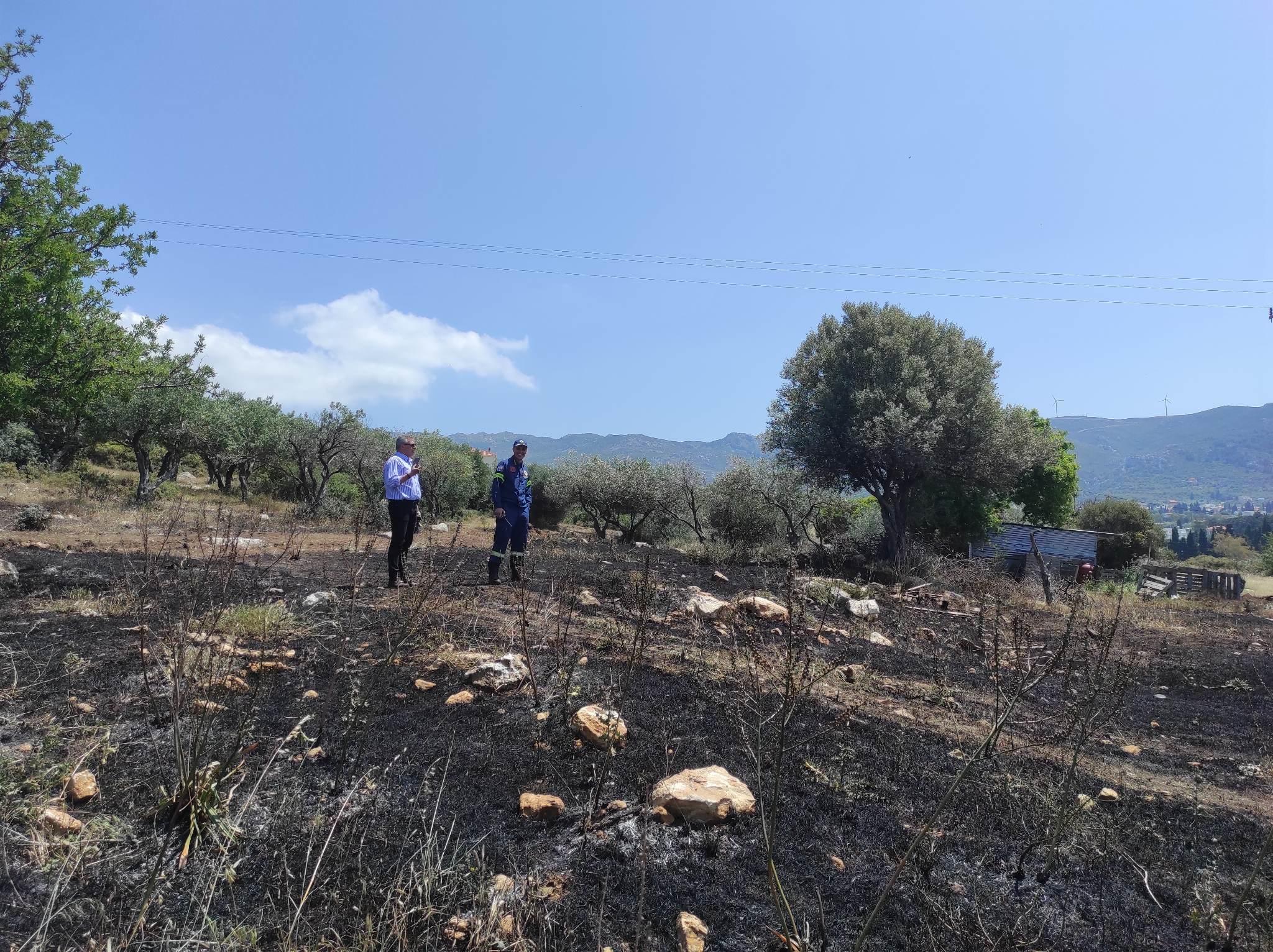 Πυρκαγιά σε χορτολιβαδική έκταση στο Πυλί στην Κω