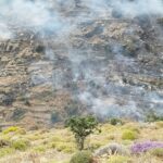 Πυρκαγιά σε χαμηλή βλάστηση στο νησί Κέα (Φωτό)