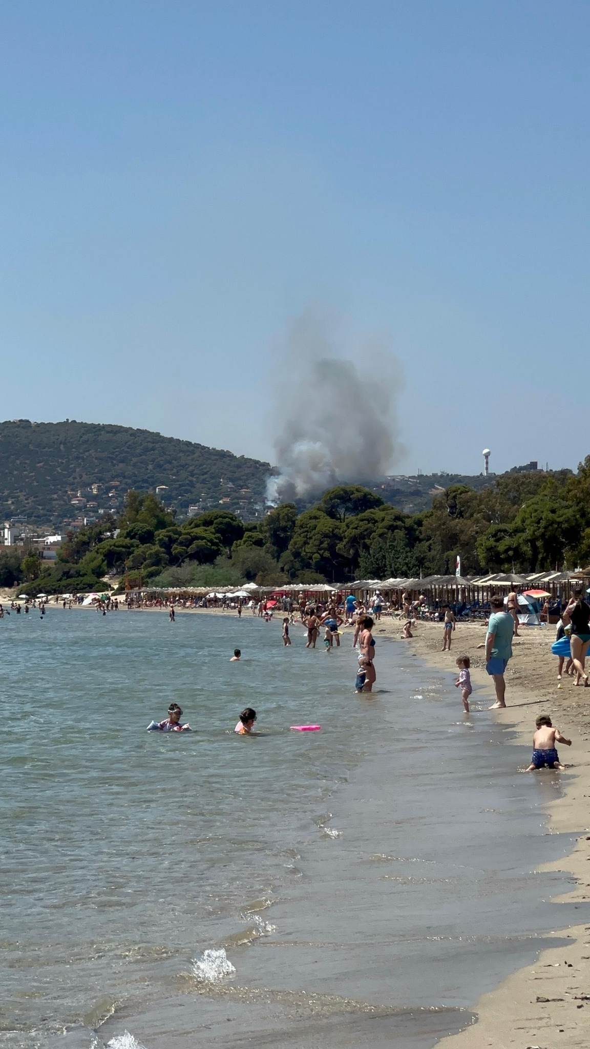 Πυρκαγιά σε δασική έκταση στην Αρτέμιδα Αττικής