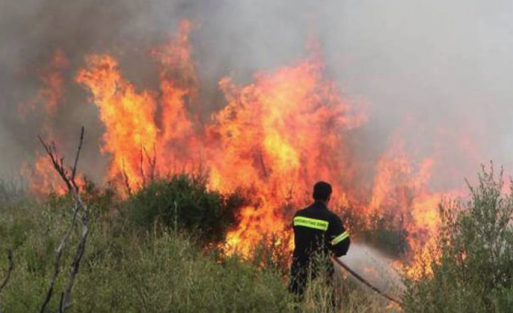 Σύλληψη για πυρκαγιά σε ξηρά χόρτα εντός οικοπεδικού χώρου στην Αιτωλοακαρνανία