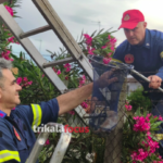 Διάσωση μικρού γατιού από την Πυροσβεστική στα Τρίκαλα