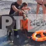 Κάρπαθος: Διάσωση δια θαλάσσης για δύο γαϊδούρια – Ειδική επιχείρηση από την πυροσβεστική