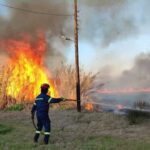 Πυρκαγιά σε γεωργική έκταση στην επαρχιακή οδό Άργους - Νέας Κίου στην Αργολίδα