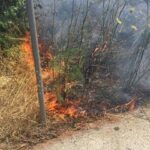 Πρόστιμο για πυρκαγιά σε ξηρά χόρτα εντός οικοπεδικού χώρου στην περιοχή Πλαγιάρι Θεσσαλονίκης