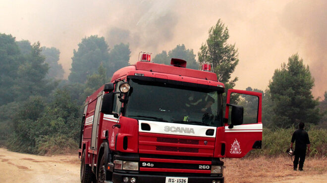 Πυρκαγιά σε δασική έκταση στην περιοχή Κυψέλη του δήμου Τροιζηνίας – Μεθάνων