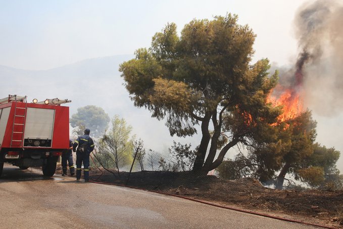 Πυροσβεστική: 66 δασικές πυρκαγιές εκδηλώθηκαν το τελευταίο 24ωρο (19/07/2023)