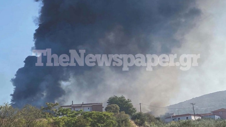 Πυρκαγιά σε χαμηλή βλάστηση στο Σέσκλο Μαγνησίας