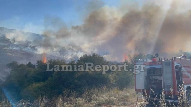 Πυρκαγιά σε δασική έκταση στην περιοχή του Προφήτη Ηλία στη Λαμία