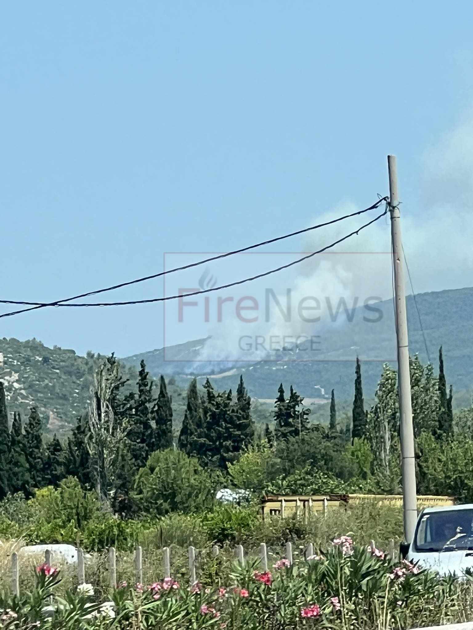 Πυρκαγιά σε δασική έκταση στο Μαρκόπουλο Ωρωπού Αττικής