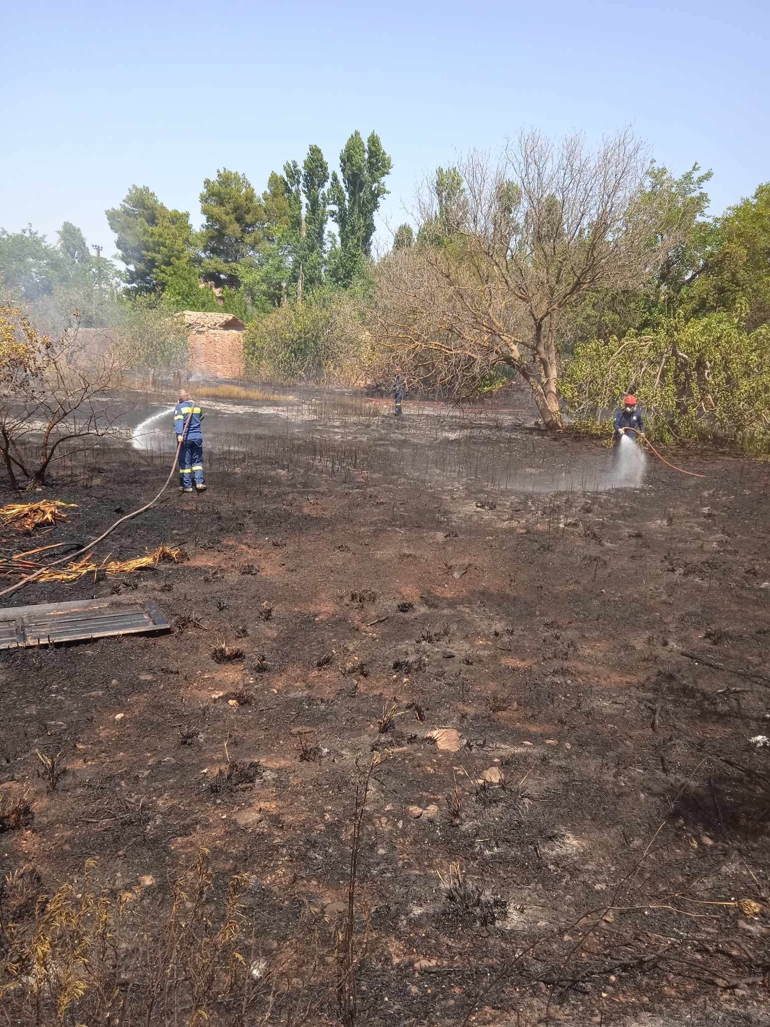 Άμεσα οριοθετήθηκε πυρκαγιά σε χαμηλή βλάστηση στο Μαρκόπουλο Μεσογαίας Αττικής