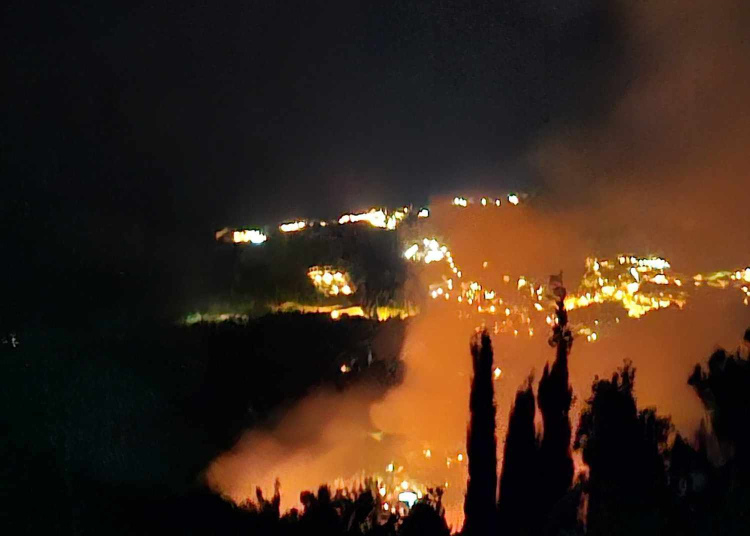 Πυρκαγιά σε δασική έκταση στην περιοχή Αγίου Νικήτα Λευκάδας